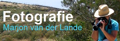 banner Marjon van der Lande